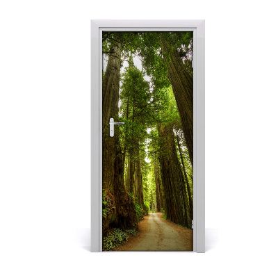 Naklejka fototapeta na drzwi Ścieżka w lesie