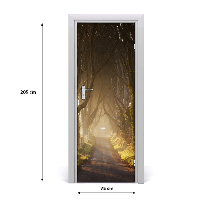 Naklejka fototapeta na drzwi Ścieżka w lesie