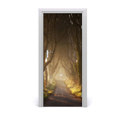 Naklejka fototapeta na drzwi Ścieżka w lesie