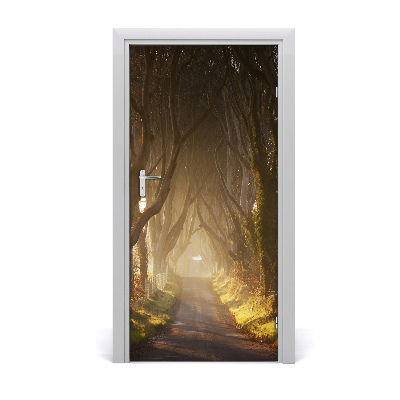 Naklejka fototapeta na drzwi Ścieżka w lesie