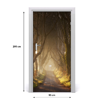 Naklejka fototapeta na drzwi Ścieżka w lesie