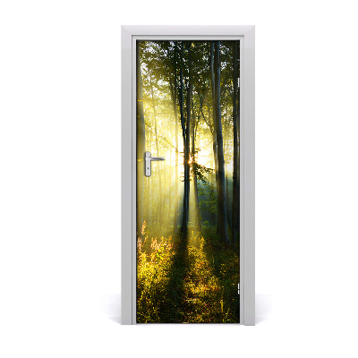 Fototapeta samoprzylepna na drzwi Las krajobraz