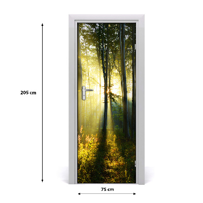 Fototapeta samoprzylepna na drzwi Las krajobraz