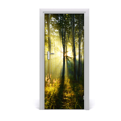Fototapeta samoprzylepna na drzwi Las krajobraz