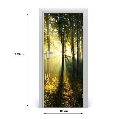 Fototapeta samoprzylepna na drzwi Las krajobraz