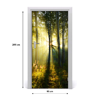 Fototapeta samoprzylepna na drzwi Las krajobraz