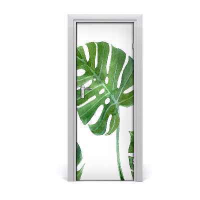 Okleina samoprzylepna fototapety na drzwi Monstera
