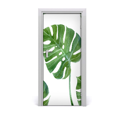 Okleina samoprzylepna fototapety na drzwi Monstera
