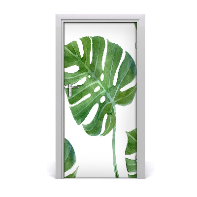 Okleina samoprzylepna fototapety na drzwi Monstera