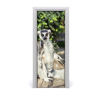 Naklejka samoprzylepna na drzwi Lemur