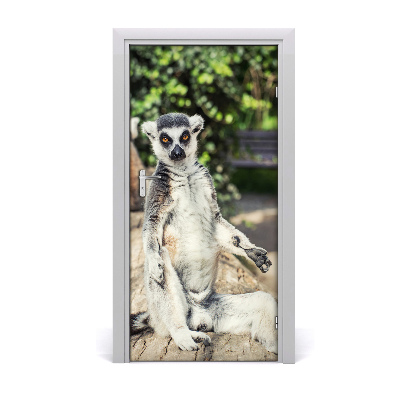 Naklejka samoprzylepna na drzwi Lemur