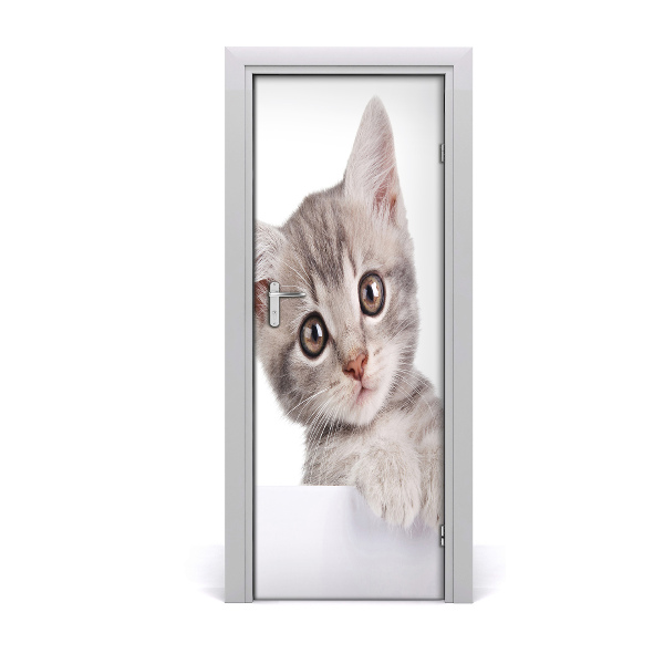 Naklejka samoprzylepna na drzwi Szary kot