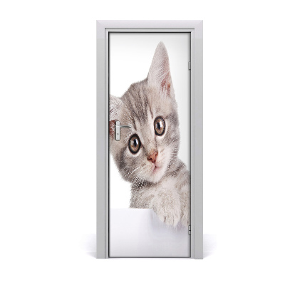 Naklejka samoprzylepna na drzwi Szary kot