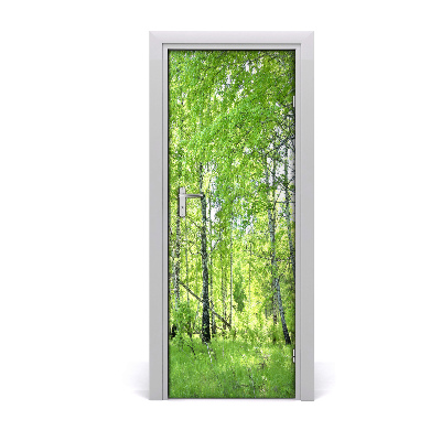 Naklejka fototapeta na drzwi Las brzozowy