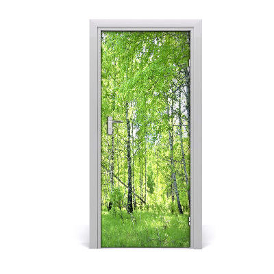 Naklejka fototapeta na drzwi Las brzozowy