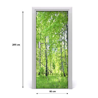 Naklejka fototapeta na drzwi Las brzozowy