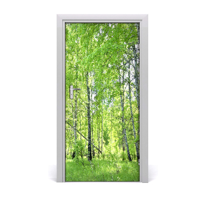 Naklejka fototapeta na drzwi Las brzozowy