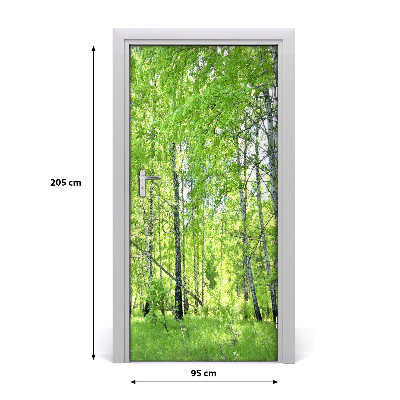 Naklejka fototapeta na drzwi Las brzozowy