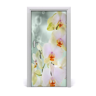 Naklejka samoprzylepna okleina na drzwi Orchidea