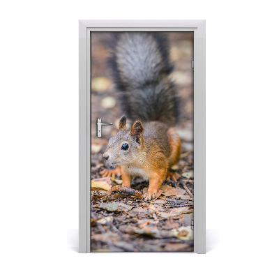 Naklejka samoprzylepna na drzwi Wiewiórka w lesie
