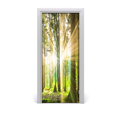 Naklejka fototapeta na drzwi Słońce w lesie