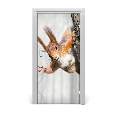 Naklejka samoprzylepna na drzwi Wiewiórka na drzewie