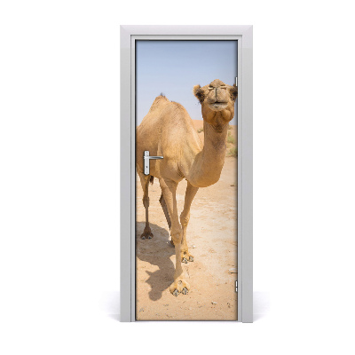 Naklejka samoprzylepna na drzwi Wielbłąd na pustyni
