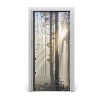 Naklejka fototapeta na drzwi Mgła w lesie