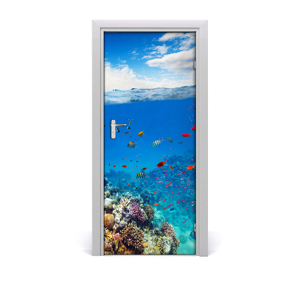 Naklejka fototapeta na drzwi Rafa koralowa