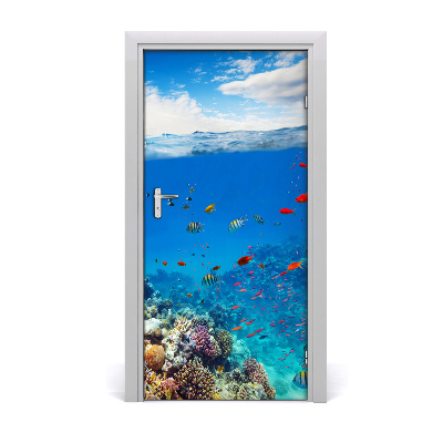 Naklejka fototapeta na drzwi Rafa koralowa