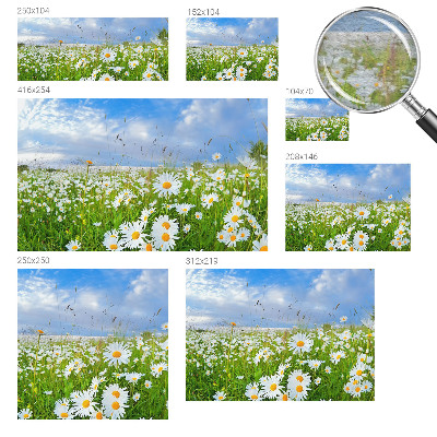 Tapeta fotograficzna z motywem letniej łąki
