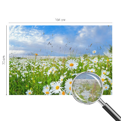 Tapeta fotograficzna z motywem letniej łąki