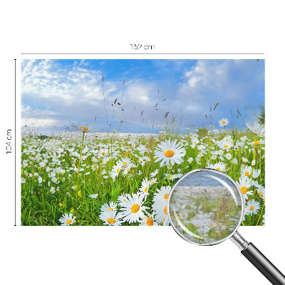 Tapeta fotograficzna z motywem letniej łąki