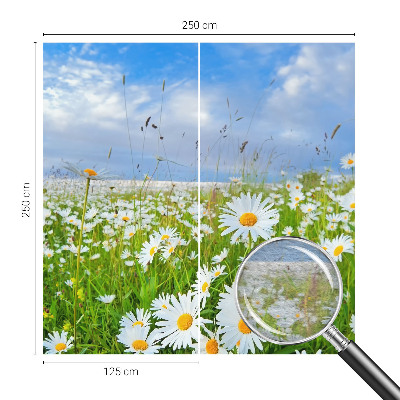 Tapeta fotograficzna z motywem letniej łąki