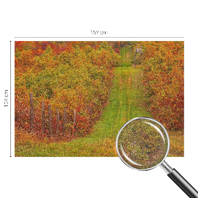 Fototapeta na ścianę z motywem w jesiennych barwach