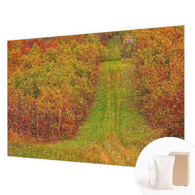 Fototapeta na ścianę z motywem w jesiennych barwach