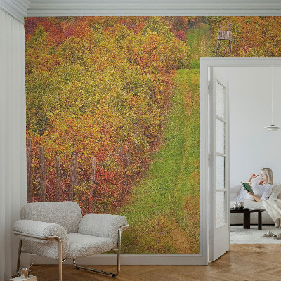 Fototapeta na ścianę z motywem w jesiennych barwach