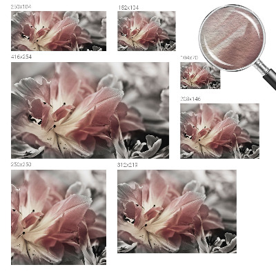 Dekoracyjna fototapeta na ścianę Pastelowy kwiat