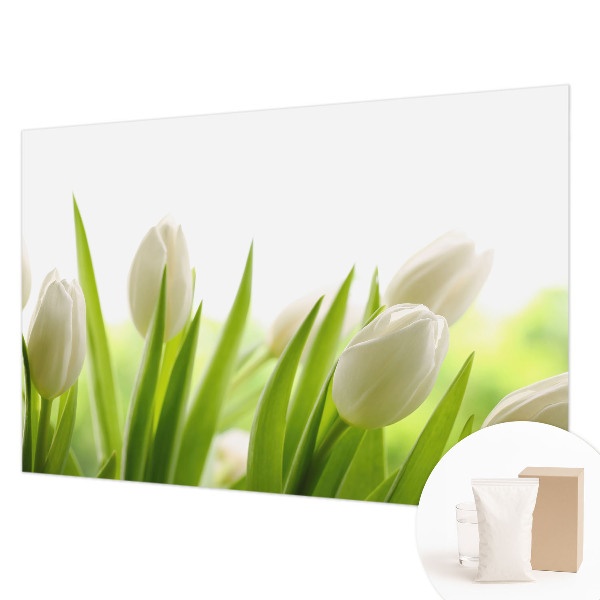 Fototapeta fizelinowa z nadrukiem z motywem białych tulipanów
