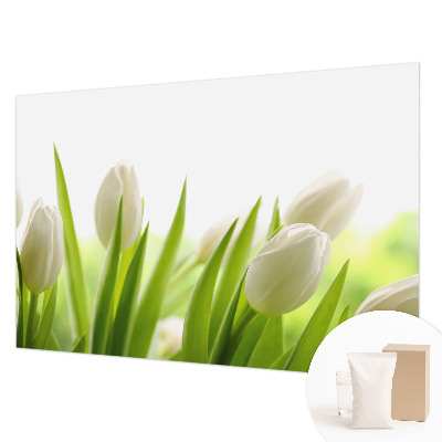 Fototapeta fizelinowa z nadrukiem z motywem białych tulipanów