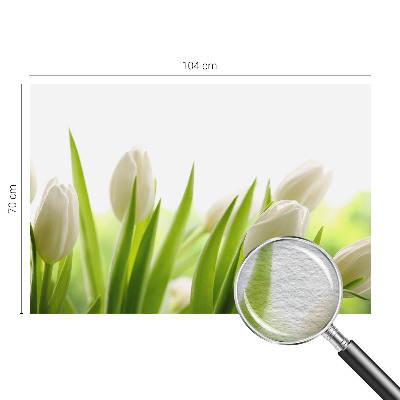 Fototapeta fizelinowa z nadrukiem z motywem białych tulipanów