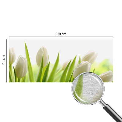 Fototapeta fizelinowa z nadrukiem z motywem białych tulipanów
