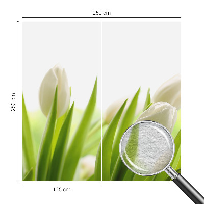 Fototapeta fizelinowa z nadrukiem z motywem białych tulipanów