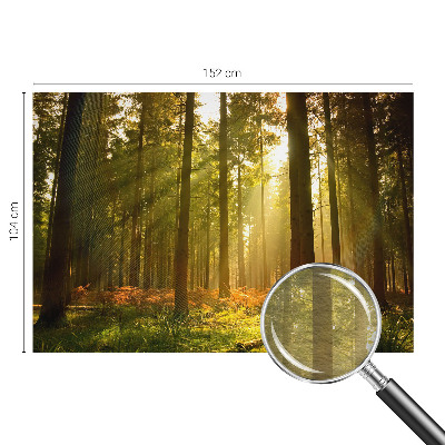 Fototapeta fizelinowa do sypialni z motywem leśnego poranka