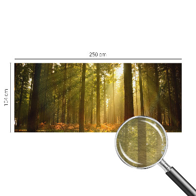 Fototapeta fizelinowa do sypialni z motywem leśnego poranka