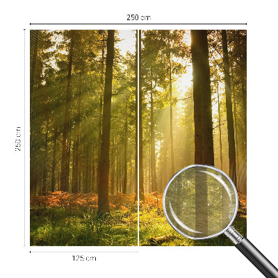 Fototapeta fizelinowa do sypialni z motywem leśnego poranka