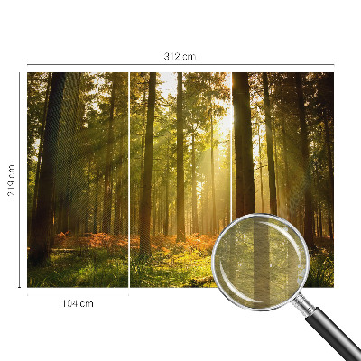 Fototapeta fizelinowa do sypialni z motywem leśnego poranka