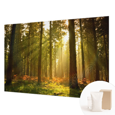 Fototapeta fizelinowa do sypialni z motywem leśnego poranka