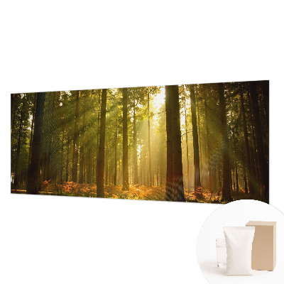 Fototapeta fizelinowa do sypialni z motywem leśnego poranka