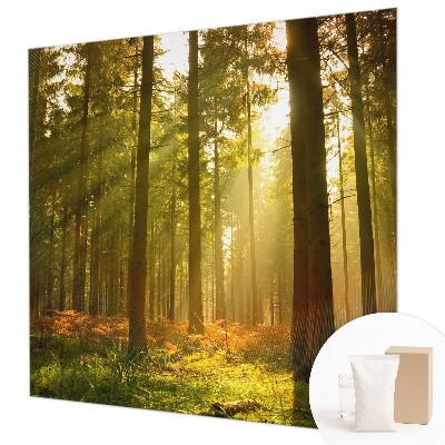 Fototapeta fizelinowa do sypialni z motywem leśnego poranka
